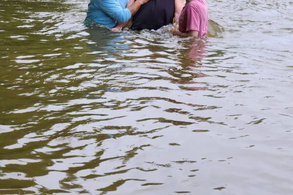 450221526_882541390568321_3484769272328876508_n