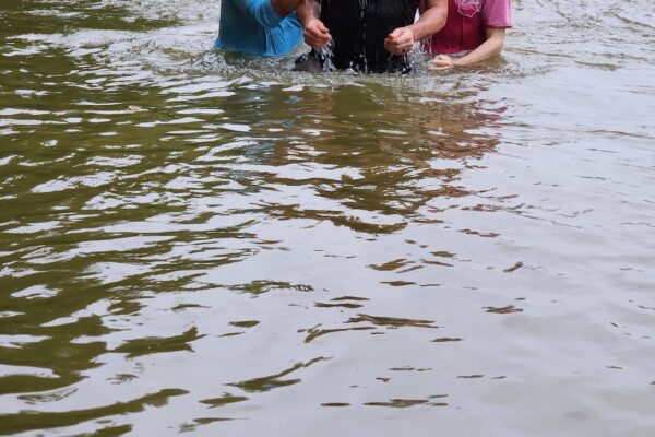 450457966_882541423901651_8662591833149273769_n