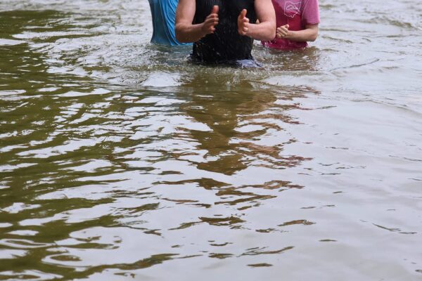 450560168_882541447234982_2757483827830018719_n